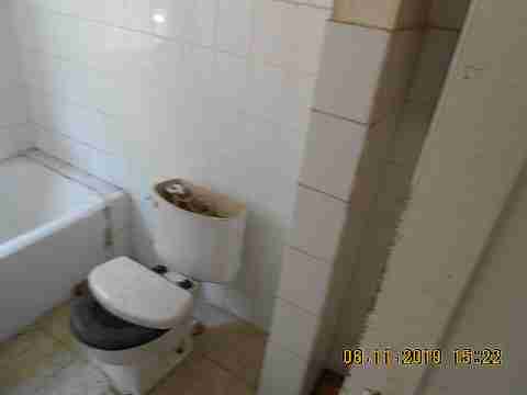 20151 Helen (15)_m.jpg